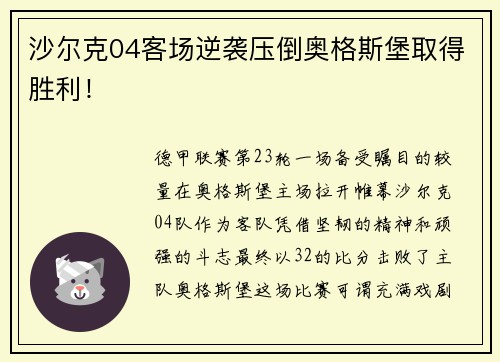 沙尔克04客场逆袭压倒奥格斯堡取得胜利！